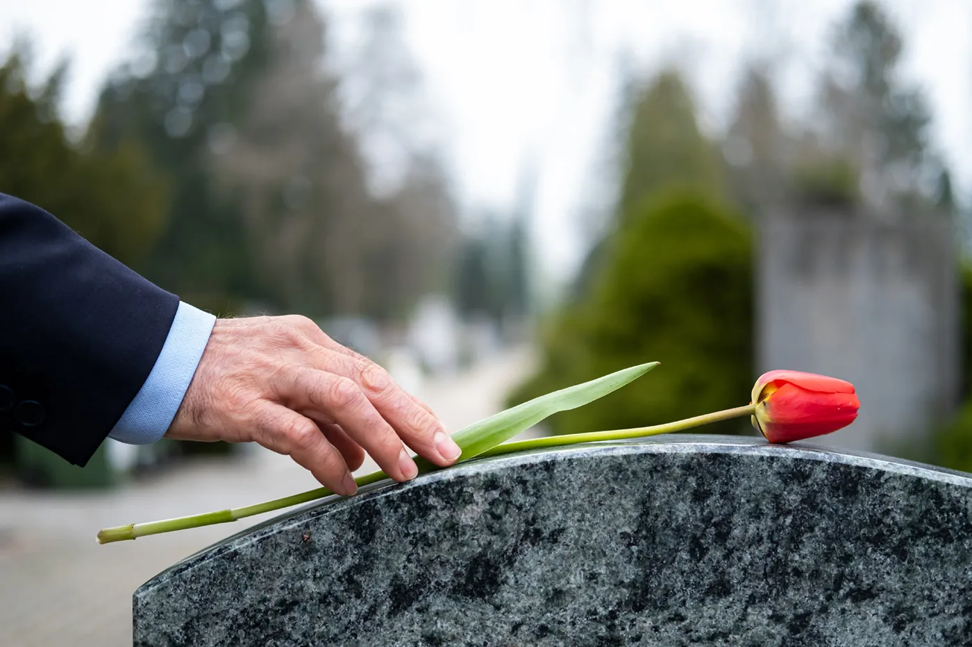 Respectful farewell, reasonable cost?
